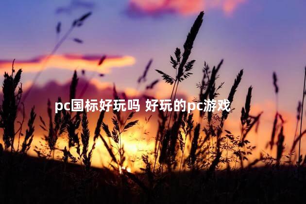 pc国标好玩吗 好玩的pc游戏